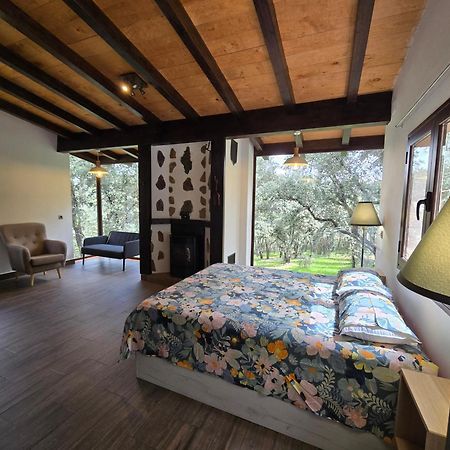 Nuevo Ecolodge Cabaneros Retuerta de Bullaque Bagian luar foto