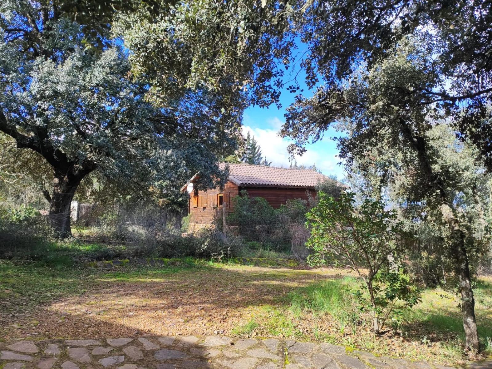 Nuevo Ecolodge Cabaneros Retuerta de Bullaque Bagian luar foto
