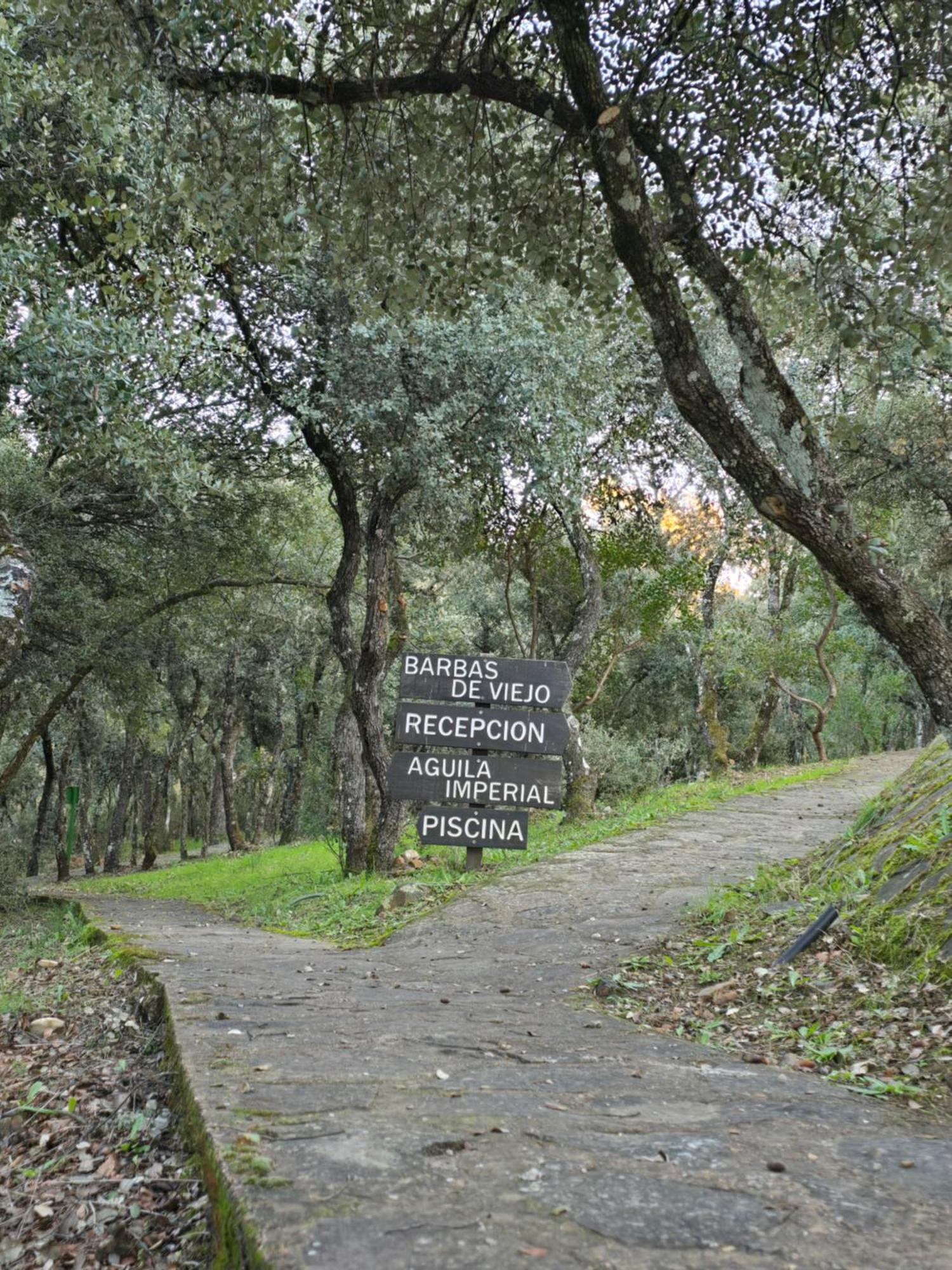 Nuevo Ecolodge Cabaneros Retuerta de Bullaque Bagian luar foto