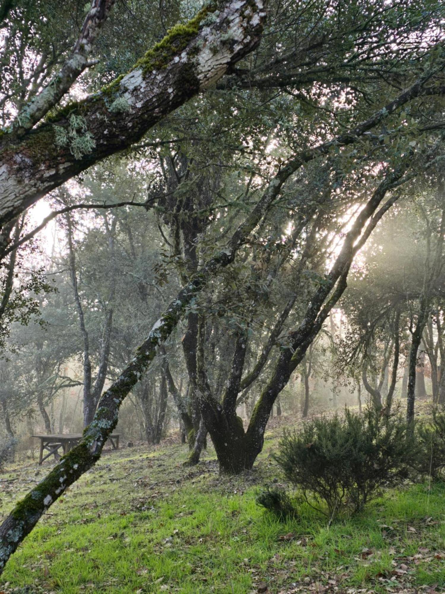 Nuevo Ecolodge Cabaneros Retuerta de Bullaque Bagian luar foto