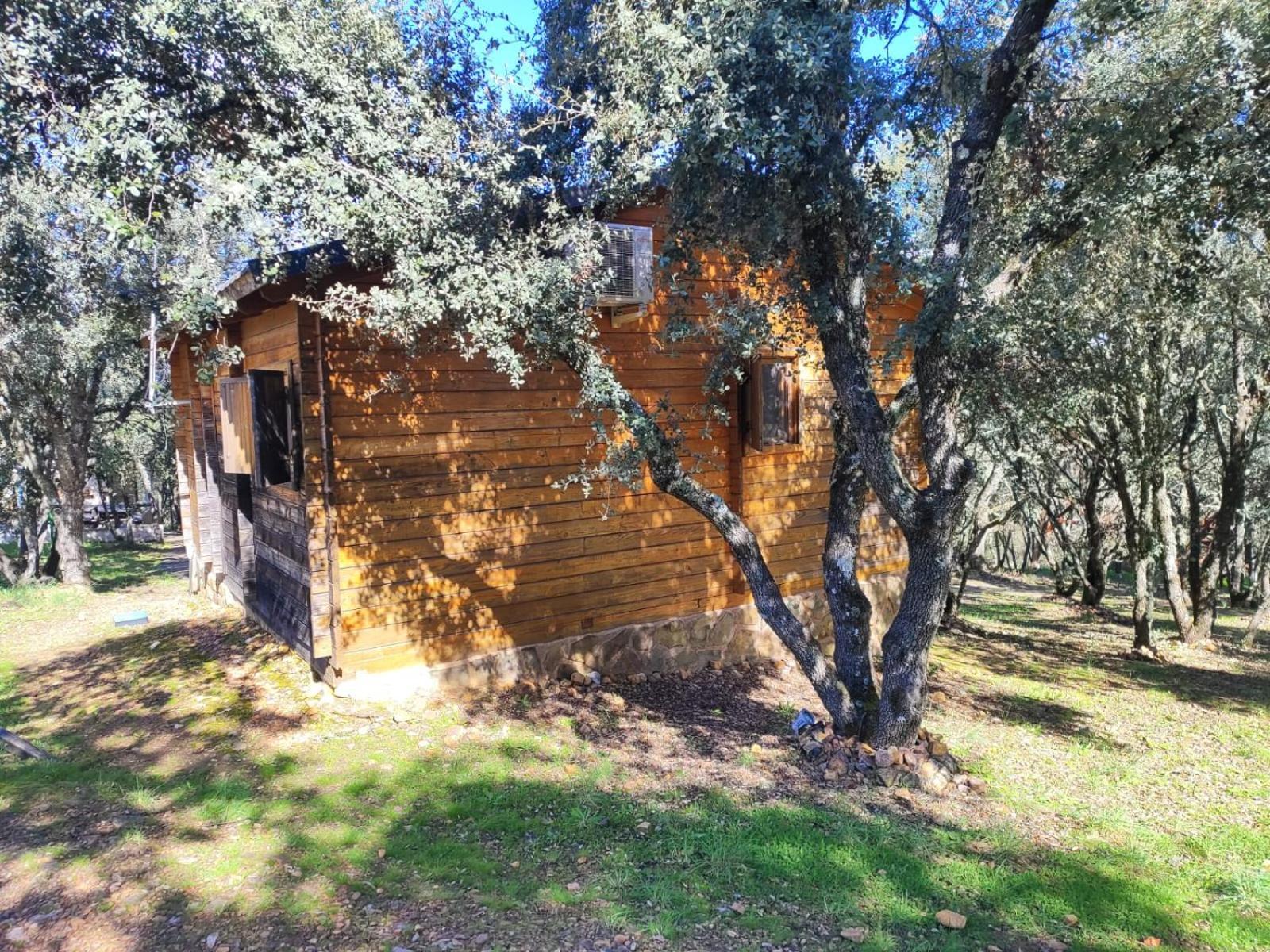 Nuevo Ecolodge Cabaneros Retuerta de Bullaque Bagian luar foto