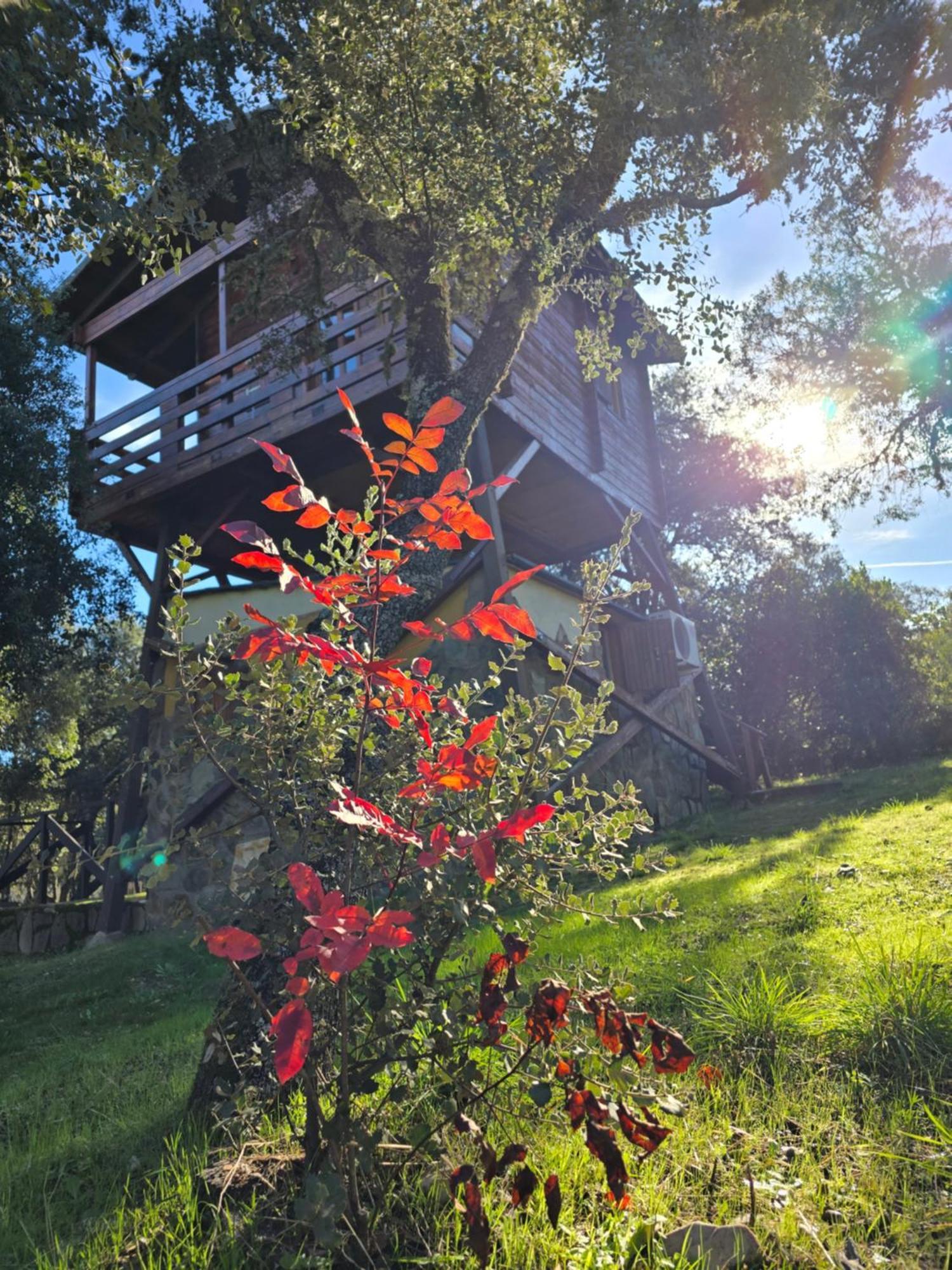 Nuevo Ecolodge Cabaneros Retuerta de Bullaque Bagian luar foto